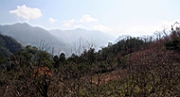 IMG_8346.JPG