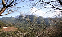 IMG_8351.JPG