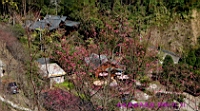 IMG_8354.JPG