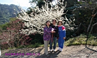 IMG_8355.JPG