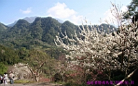 IMG_8356.JPG