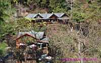 IMG_8357.JPG