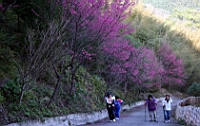 IMG_8367.JPG