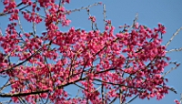 IMG_8368.JPG
