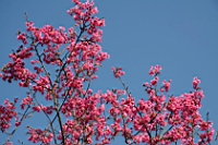 IMG_8369.JPG