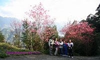 IMG_8371.JPG