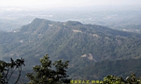 IMG_8373.JPG