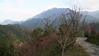 IMG_8376.JPG