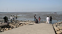 IMG_8387.JPG