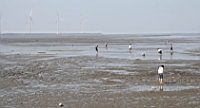 IMG_8391.JPG