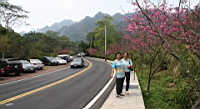 IMG_8555.JPG