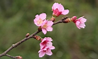 IMG_8557.JPG