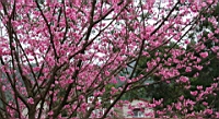 IMG_8560.JPG