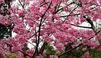 IMG_8563.JPG