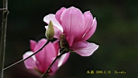 IMG_8577.JPG