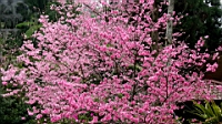 IMG_8601.JPG