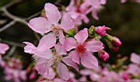 IMG_8604.JPG