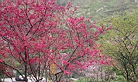 IMG_8613.JPG