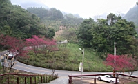 IMG_8616.JPG