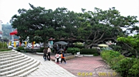IMG_8640.JPG