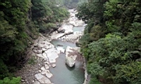 IMG_8809.JPG
