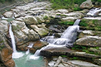 IMG_8810.JPG