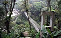 IMG_8823.JPG