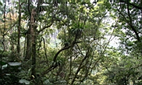 IMG_8831.JPG