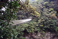 IMG_8849.JPG