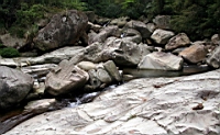 IMG_8854.JPG