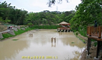 IMG_8869.JPG