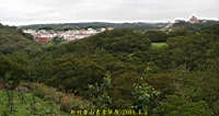 IMG_8873.JPG