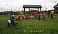 IMG_8877.JPG