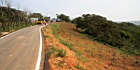 IMG_8885.JPG