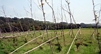 IMG_8895.JPG