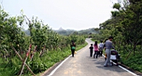 IMG_8897.JPG