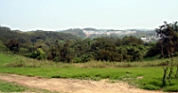 IMG_8898.JPG