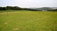 IMG_890.JPG