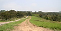 IMG_8900.JPG