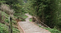IMG_8915.JPG