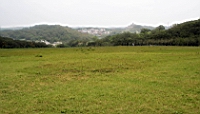 IMG_8922.JPG