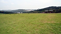 IMG_8924.JPG