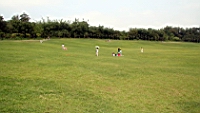 IMG_8926.JPG