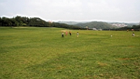 IMG_8927.JPG