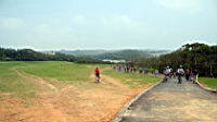 IMG_8931.JPG