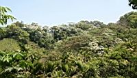 IMG_8944.JPG