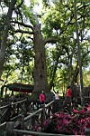 IMG_8945.JPG