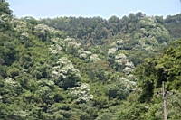 IMG_8950.JPG