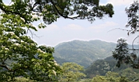 IMG_8953.JPG