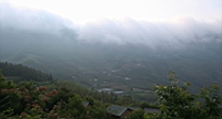 IMG_8962.JPG